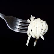 Fork with Spaghetti Noodles